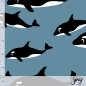 Preview: BIO Jersey Wild Whale, Orca Wale, jny