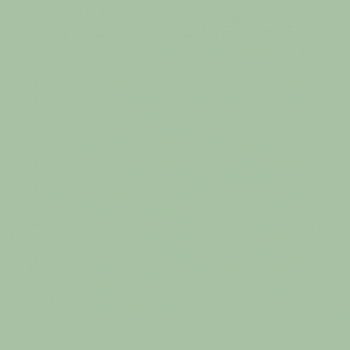 BIO Jersey Znok Uni Margarita - hellgrün