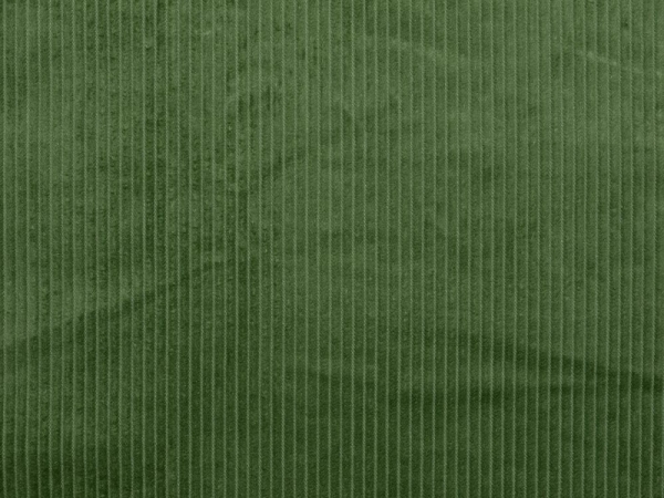 Breitcord grün
